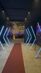 Video real de Túnel LED Pixel