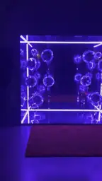 Video real de Cabina Espejada