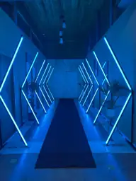 Fotografía real de Túnel LED Pixel